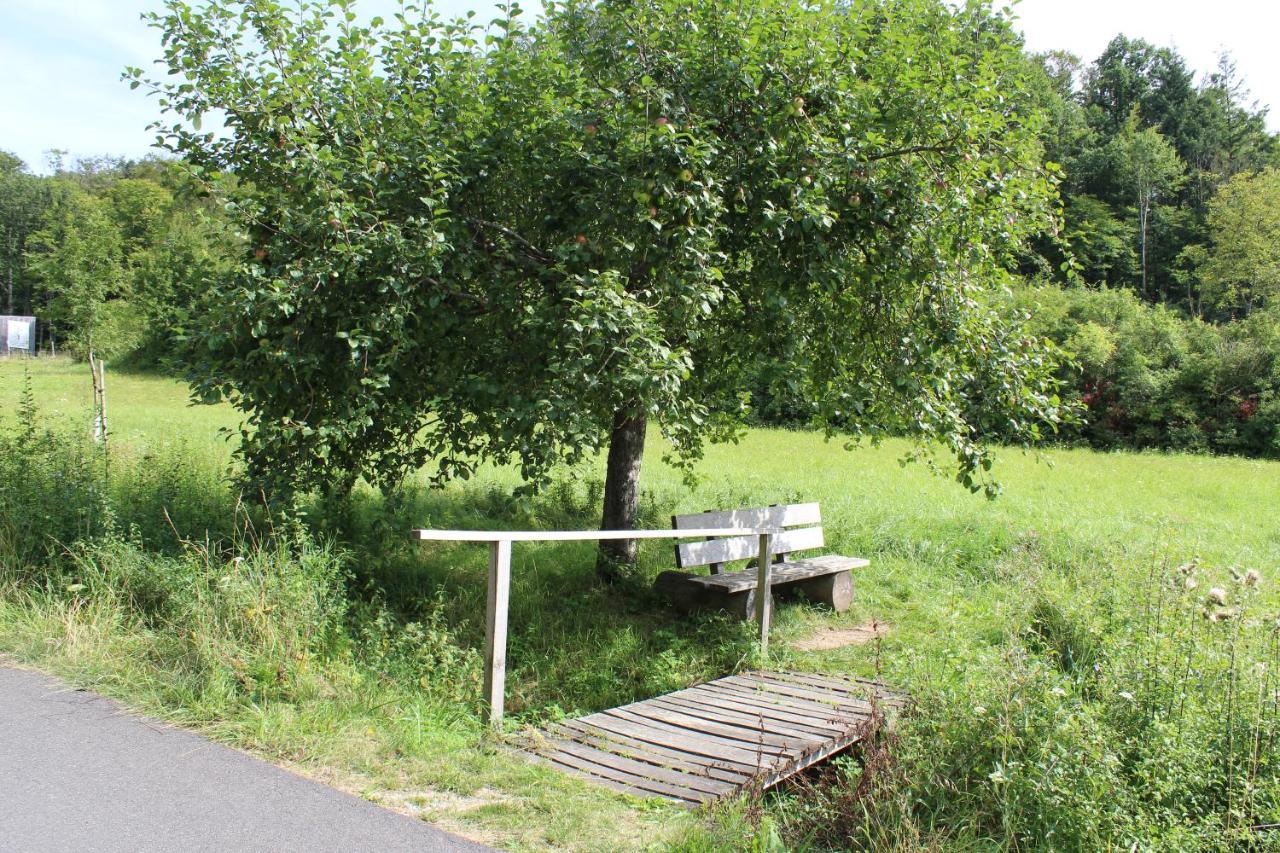 Ferienwohnung Forellenhof Oberschwarzach Esterno foto