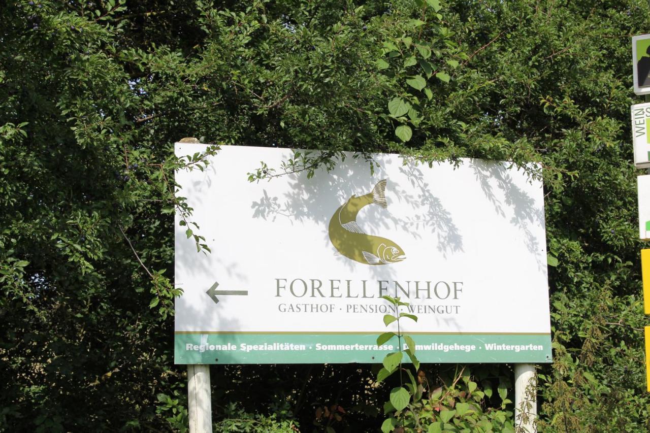 Ferienwohnung Forellenhof Oberschwarzach Esterno foto