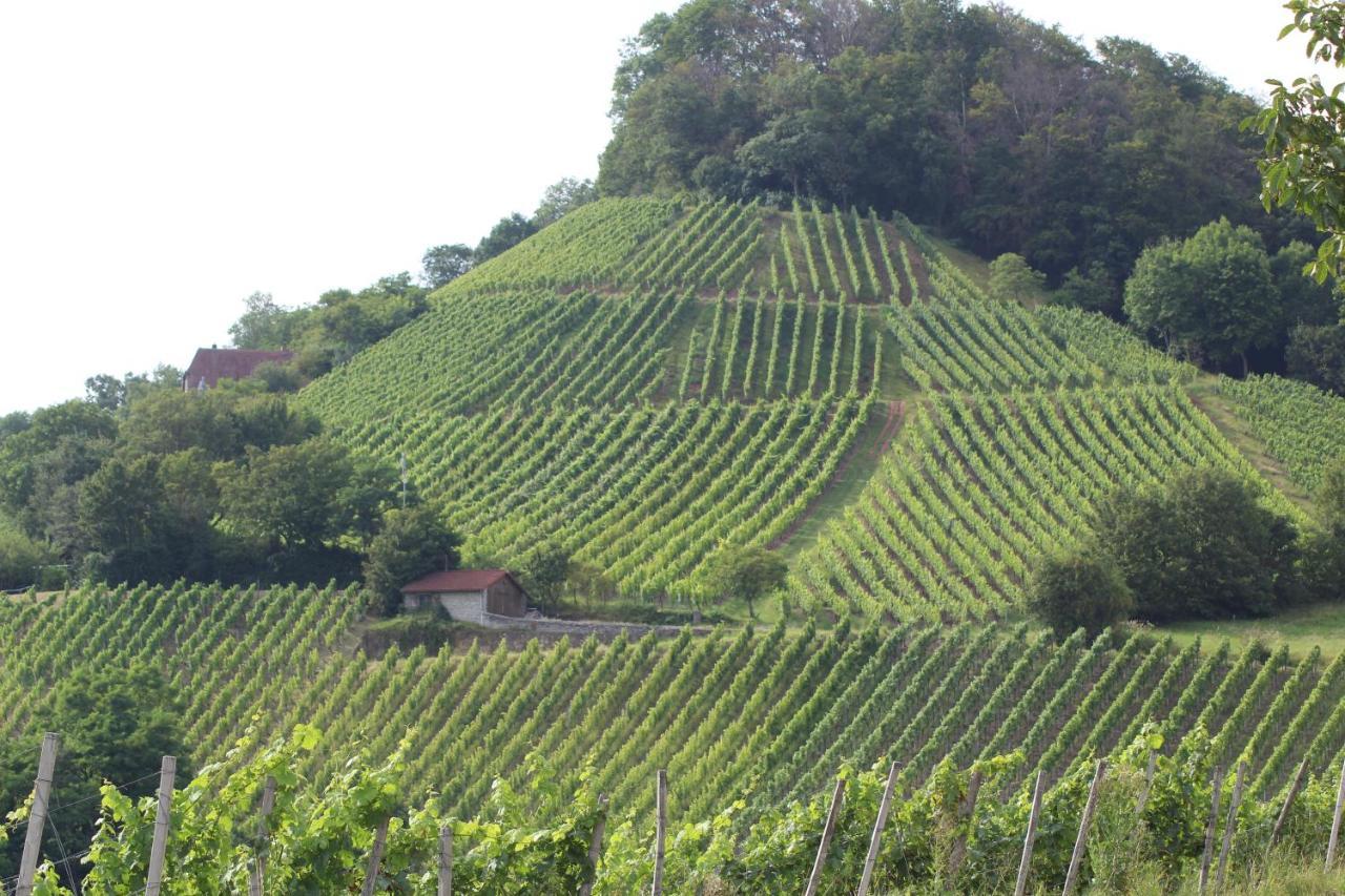 Ferienwohnung Forellenhof Oberschwarzach Esterno foto